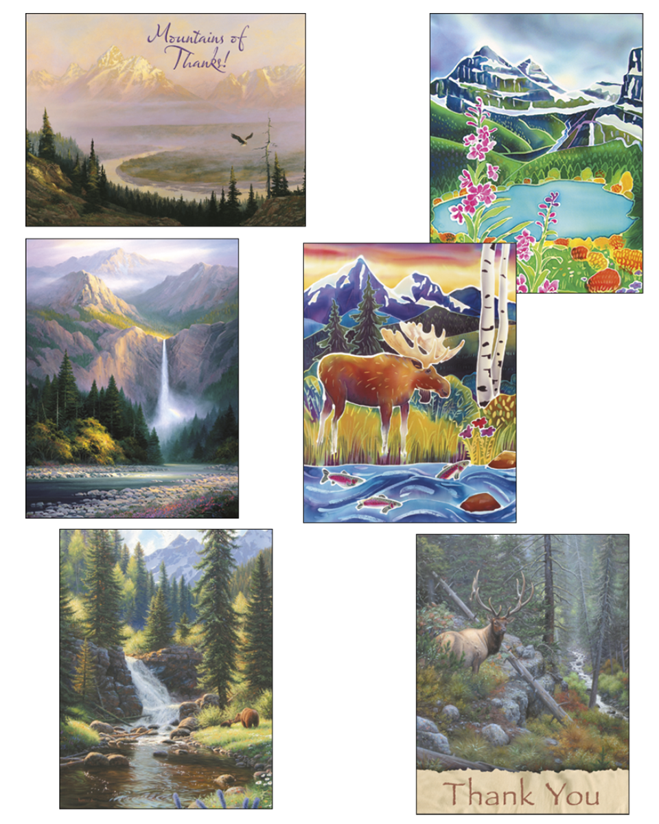 Blank Note Card Assortment 2 each of 6 designs 49519 - Mo...