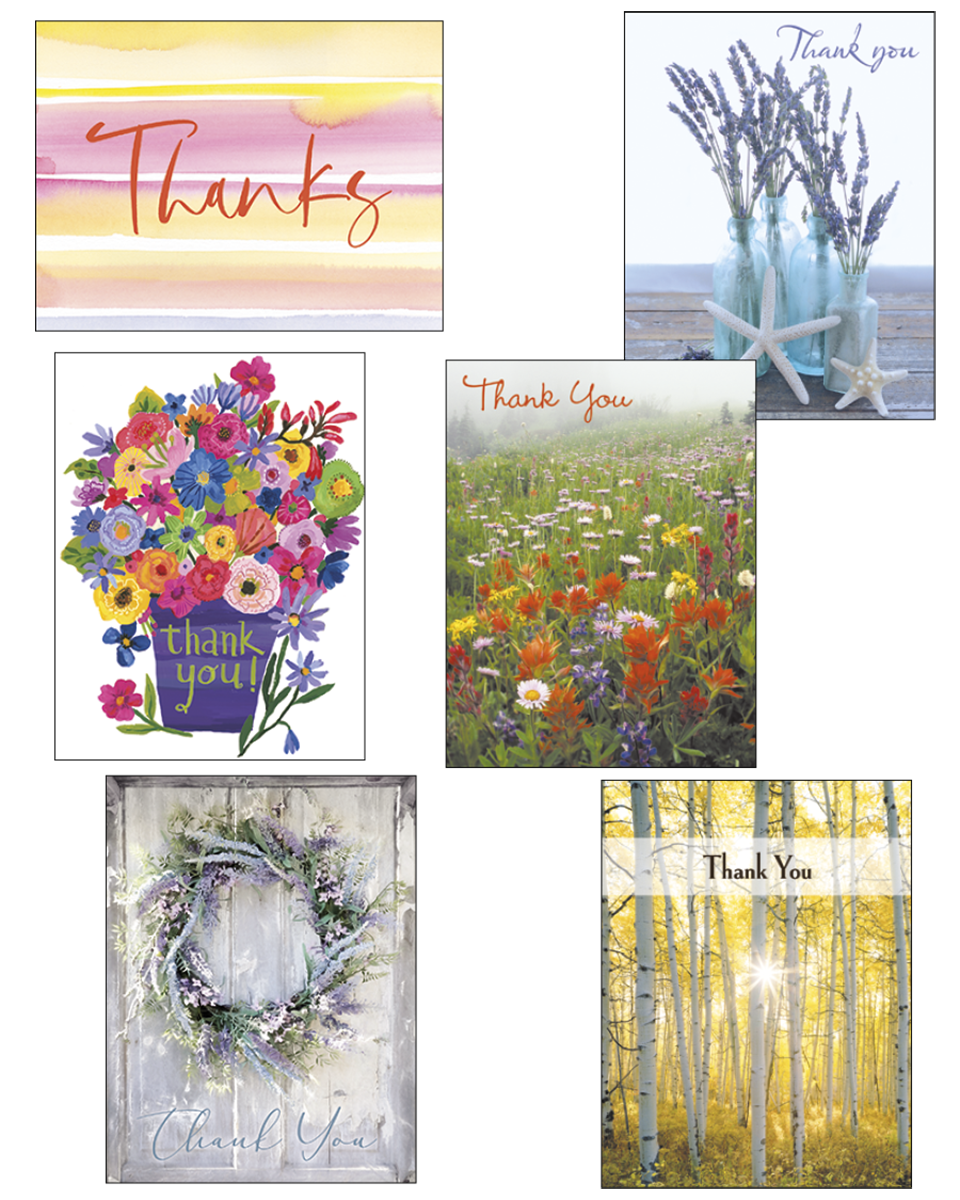 Assorted 'Thank You' greeting cards for friends and loved ones, featuring diverse natural designs: watercolor 'Thanks', vibrant lavender in blue bottles, a joyful floral bouquet, a sprawling wildflower field, a serene lavender wreath on rustic wood, and a radiant golden aspen forest.