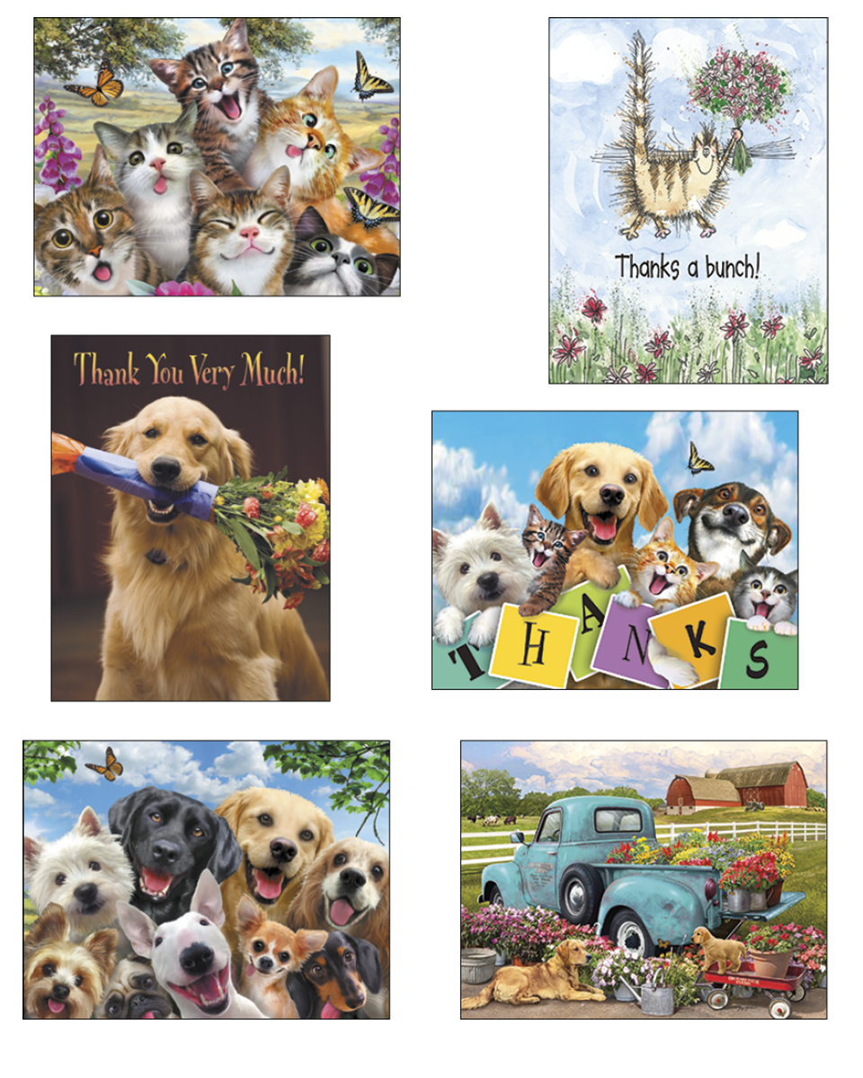 A diverse collection of vibrant greeting cards featuring playful cats, smiling dogs, and heartwarming thank you messages. Designs include a group of happy felines with butterflies, a fluffy cat holding a flower bouquet, a golden retriever with flowers, and a charming vintage blue truck adorned with blooms. Ideal for expressing gratitude and various celebrations.