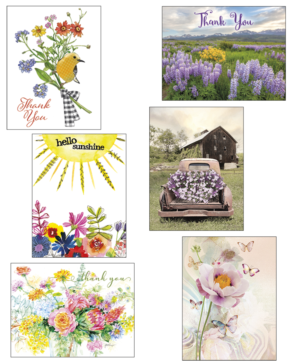 Versatile greeting card assortment featuring diverse designs including: a 'Thank You' card with a cheerful bird on flowers, a scenic purple lupine field, a vibrant 'Hello Sunshine' card with abstract florals, a rustic pickup truck filled with purple petunias, a watercolor thank you bouquet, and an elegant pink peony with butterflies. Perfect for all occasions.