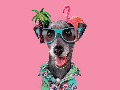 Hope your day's so bright that you gotta wear shades!