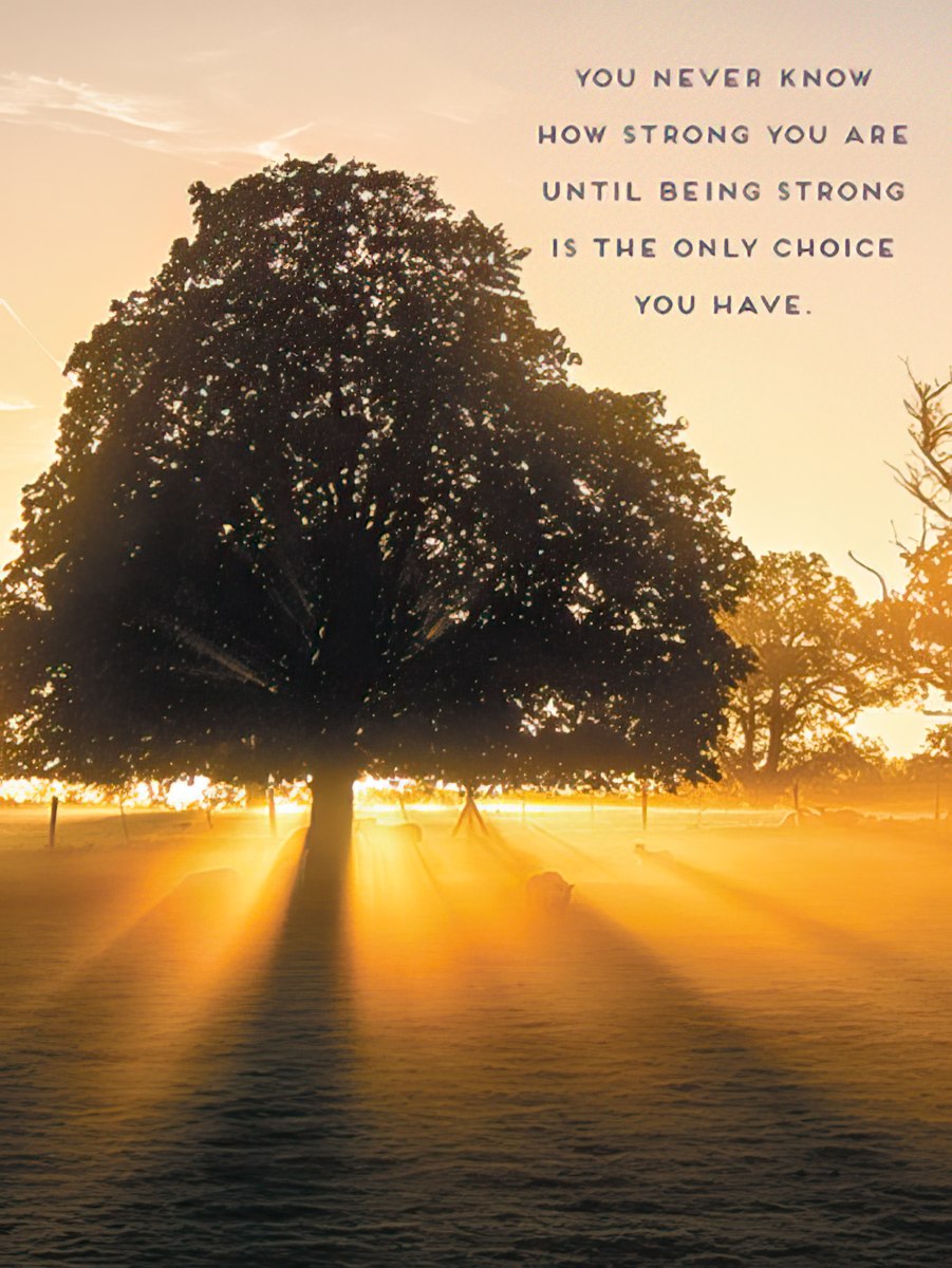 Inspirational greeting card front: strong tree silhouette at sunrise. Quote: 'You never know how strong you are until being strong is the only choice you have.'