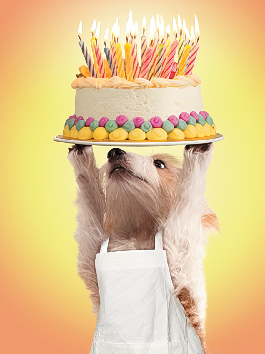 Dog Chef Holding Birthday Cake Birthday Card