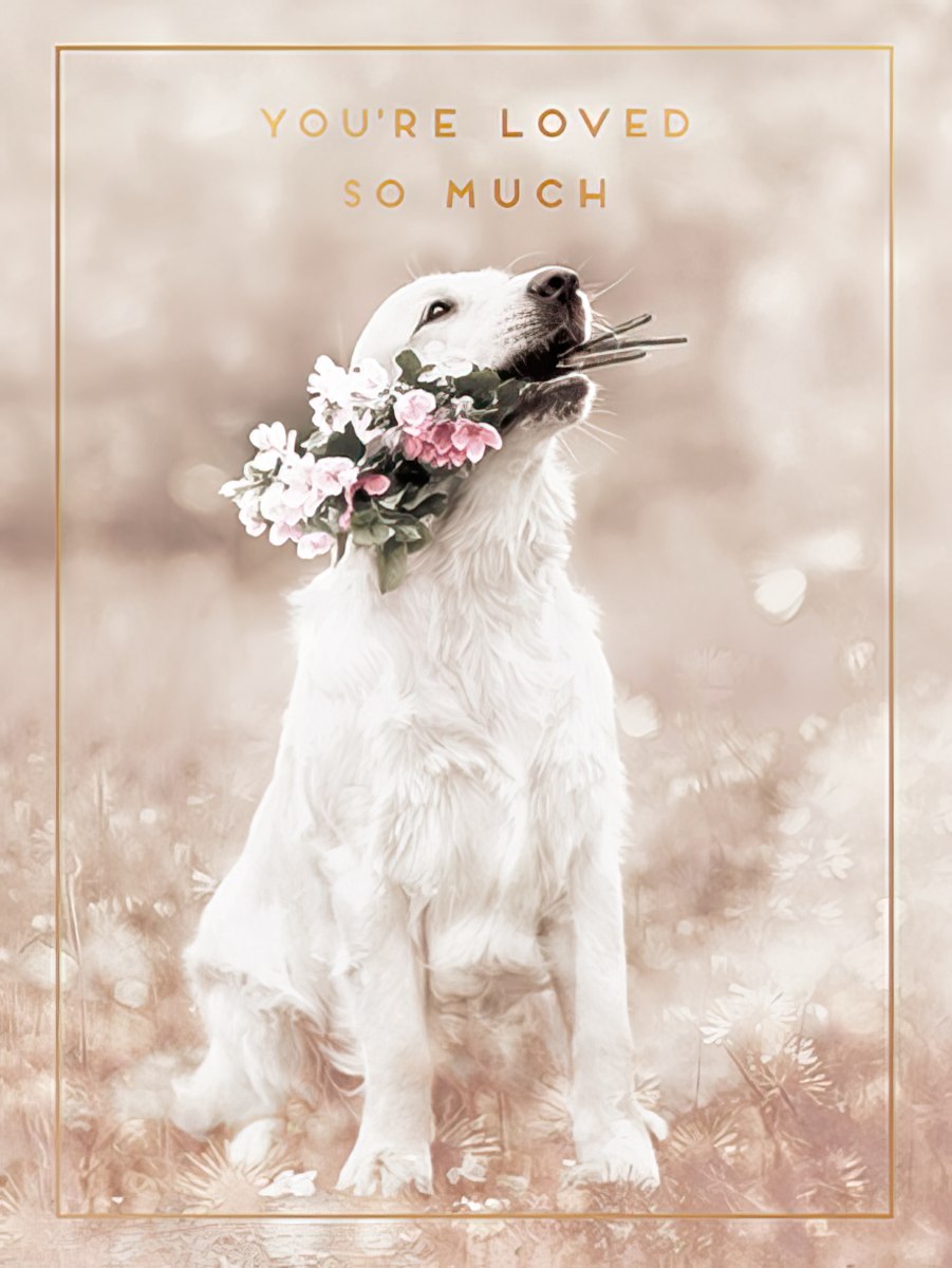 Golden Retriever dog holding pink and white flowers in its mouth, set against a soft, light-pink bokeh background with gold border and text 'YOU'RE LOVED SO MUCH'. Perfect for expressing deep affection to someone special.