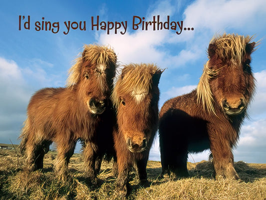 Three adorable shaggy miniature horses with fluffy manes stand on a grassy hill under a bright blue sky. Text reads 'I'd sing you Happy Birthday...'