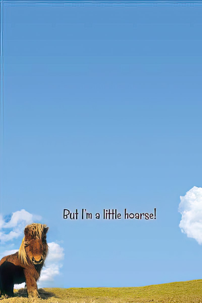 Inside of a humorous birthday greeting card showing one adorable Shetland pony on a green hill against a clear blue sky, with the punchline text 'But I'm a little hoarse!'