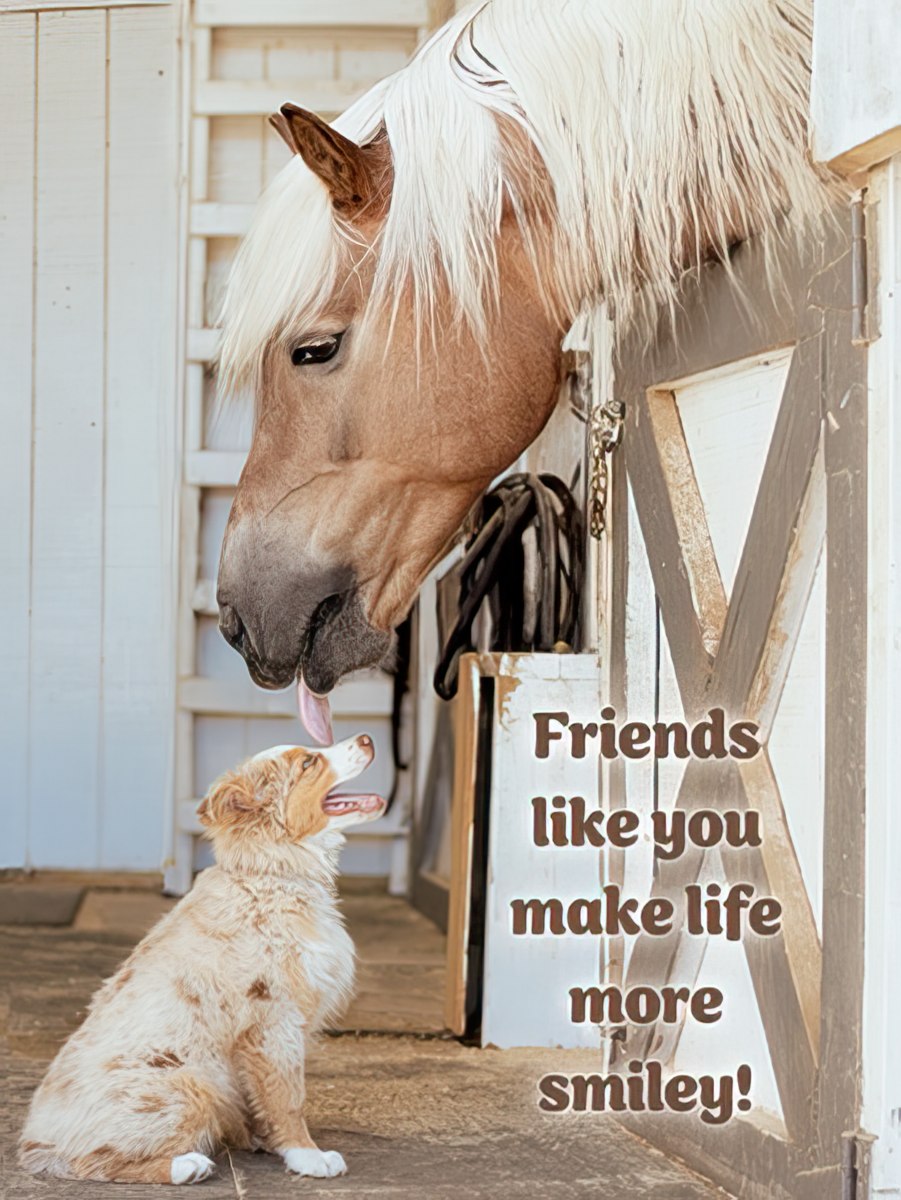 Horse Licking Top of Dog's Head Friendship Card