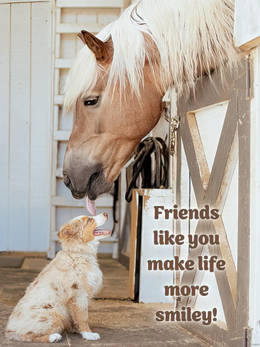 A cute horse gently licks the head of a small, fluffy dog with the text 'Friends like you make life more smiley!' in a barn setting.