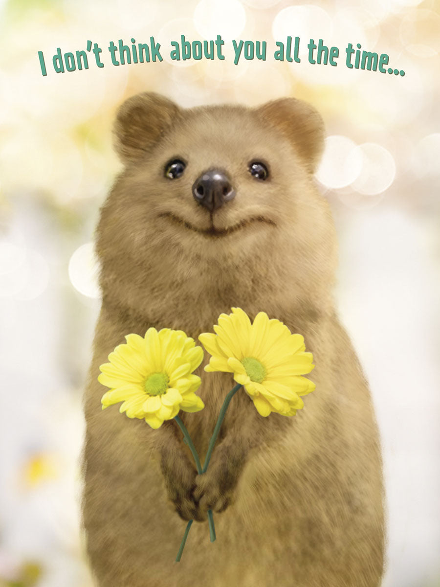 Quokka Holidng Yellow Flowers Friendship Card