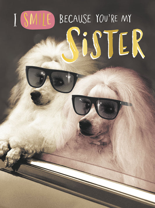Front of a funny sister birthday card featuring two stylish white poodles in sunglasses looking out a car window. Text: 'I SMILE BECAUSE YOU'RE MY SISTER'.