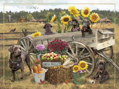 Charming birthday card with chocolate lab puppies, sunflowers, pumpkins, and an adult lab in a rustic farm setting with a wagon.