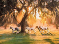 Three majestic brown and white paint horses running through a misty, sun-drenched field under an ancient oak tree draped with Spanish moss, glowing in golden light.