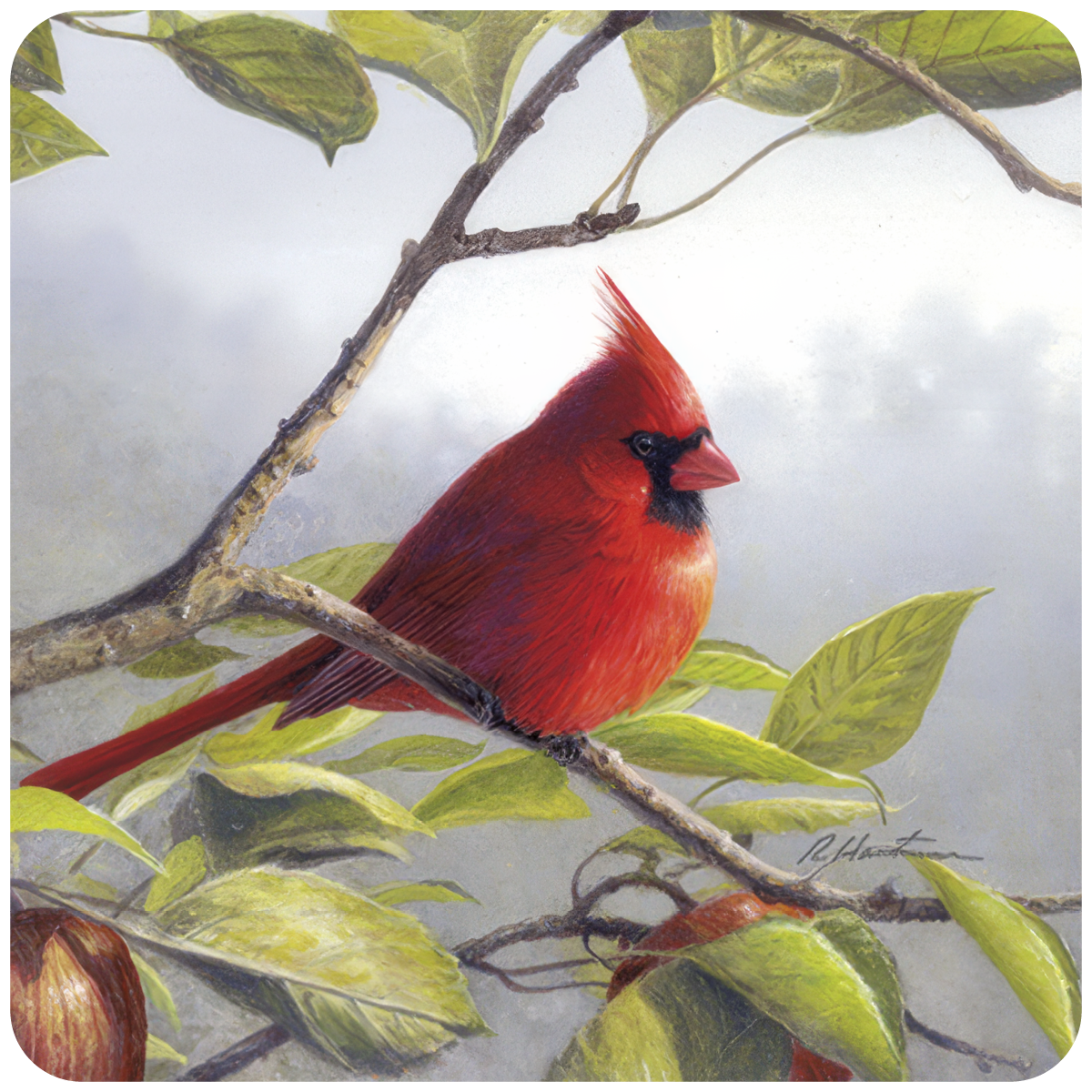Vibrant red male cardinal bird perched on a branch with green leaves against a soft grey background, decorative coaster art.