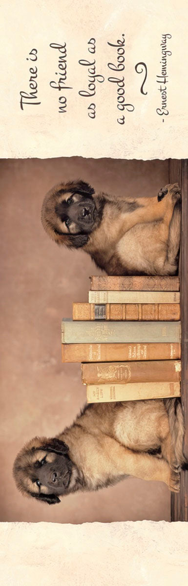 Adorable puppy sitting on a stack of old books with the quote 'There is no friend as loyal as a good book - Ernest Hemingway'.