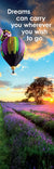 Hot air balloons over lavender field with sunrise in background