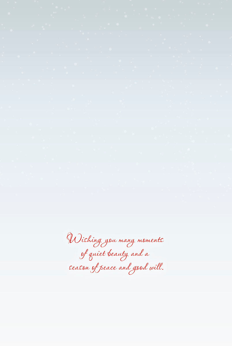 Inside of a greeting card with a light blue snowflake background and red script message: "Wishing you many moments of quiet beauty and a season of peace and good will."