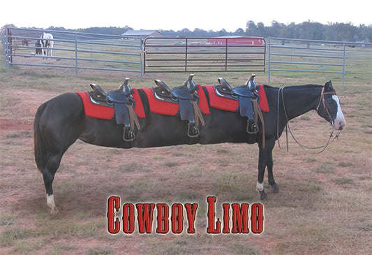 Cowboy Limo