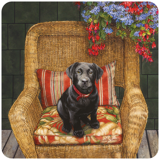 Black Lab Puppy on Chair