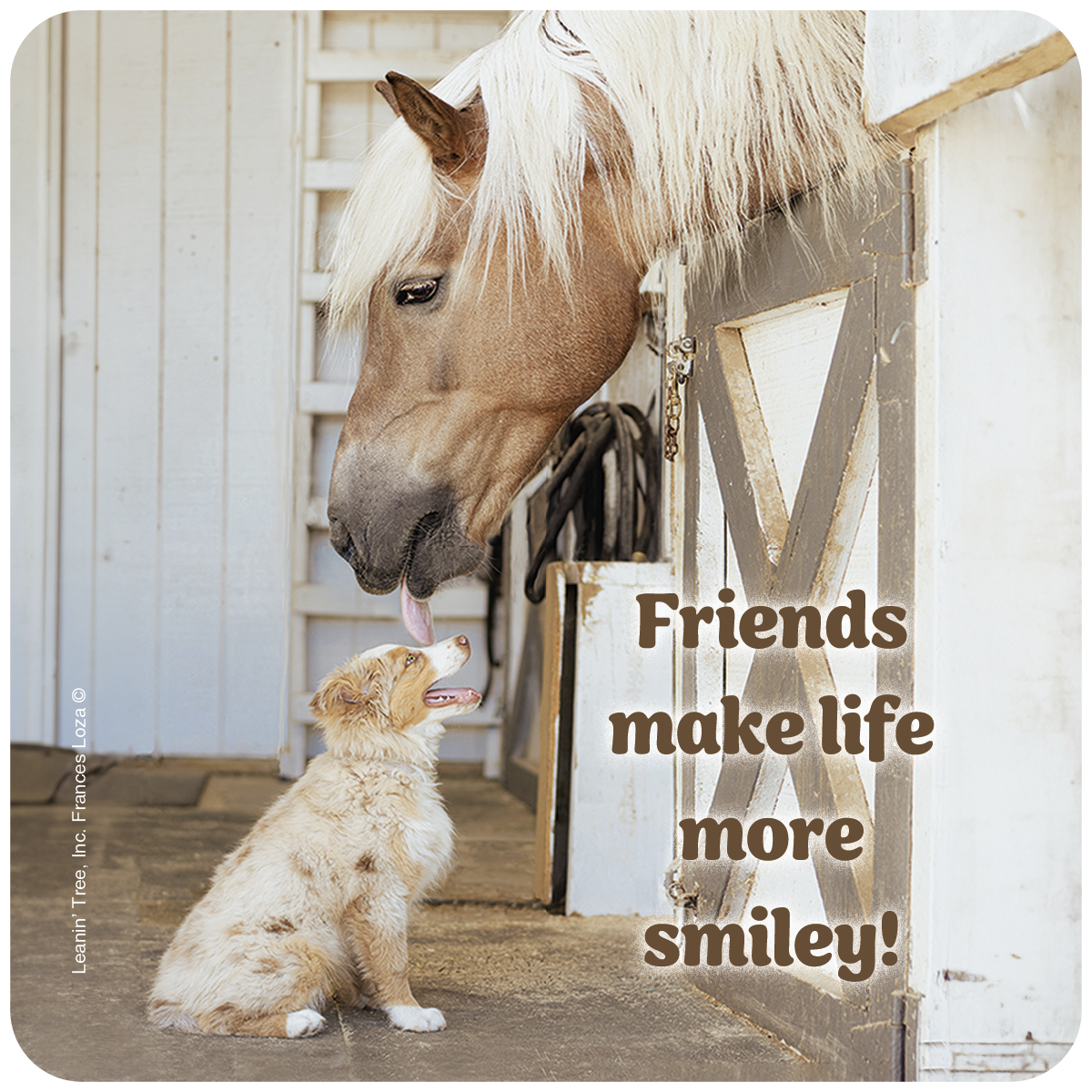 Friends Make Life More Smiley Horse and Puppy Coaster