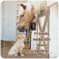 Heartwarming coaster featuring a palomino horse affectionately licking a happy Australian Shepherd puppy in a rustic barn, with the quote 'Friends make life more smiley!'. Perfect for animal lovers and dog owners.
