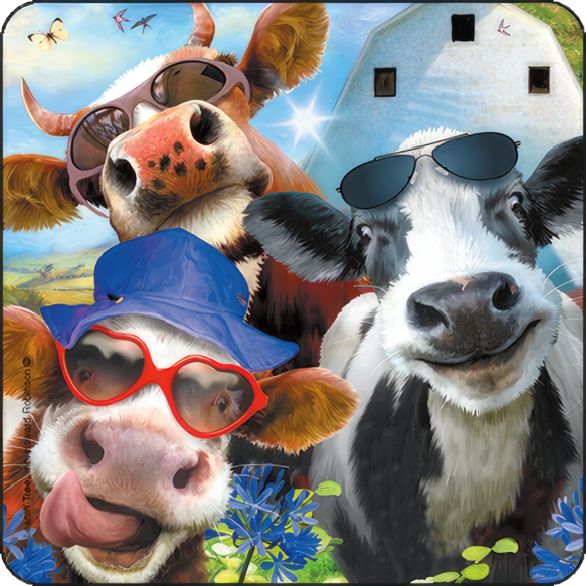 Funny Cows with Sunglasses