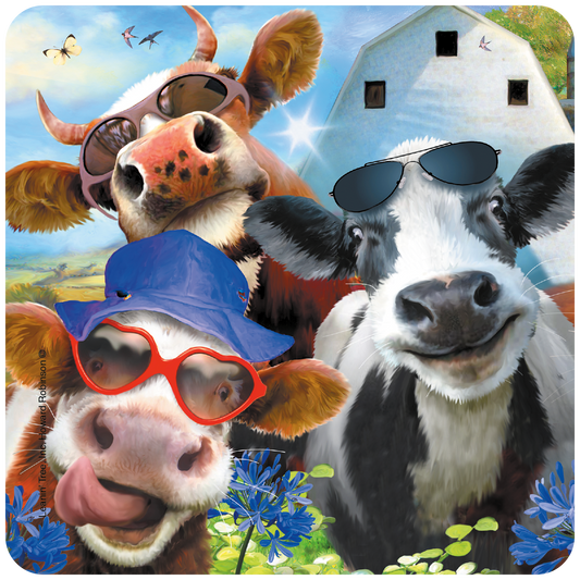 Funny Cows with Sunglasses