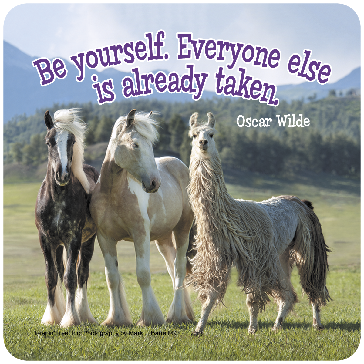 Be Yourself Quote