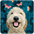 Close-up of a happy Goldendoodle dog coaster, featuring a smiling, fluffy golden-cream dog with its tongue out, against a vibrant dark teal background with ornamental patterns and pink and yellow butterflies. Ideal for pet lovers and home decor.