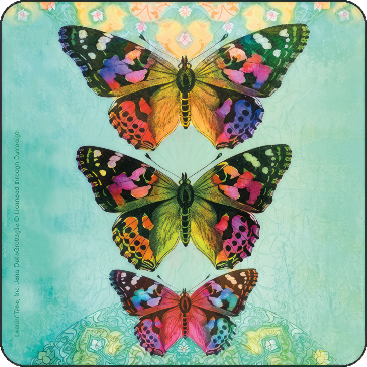 Multicolor Butterflies