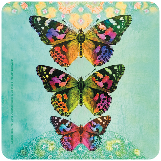 Multicolor Butterflies