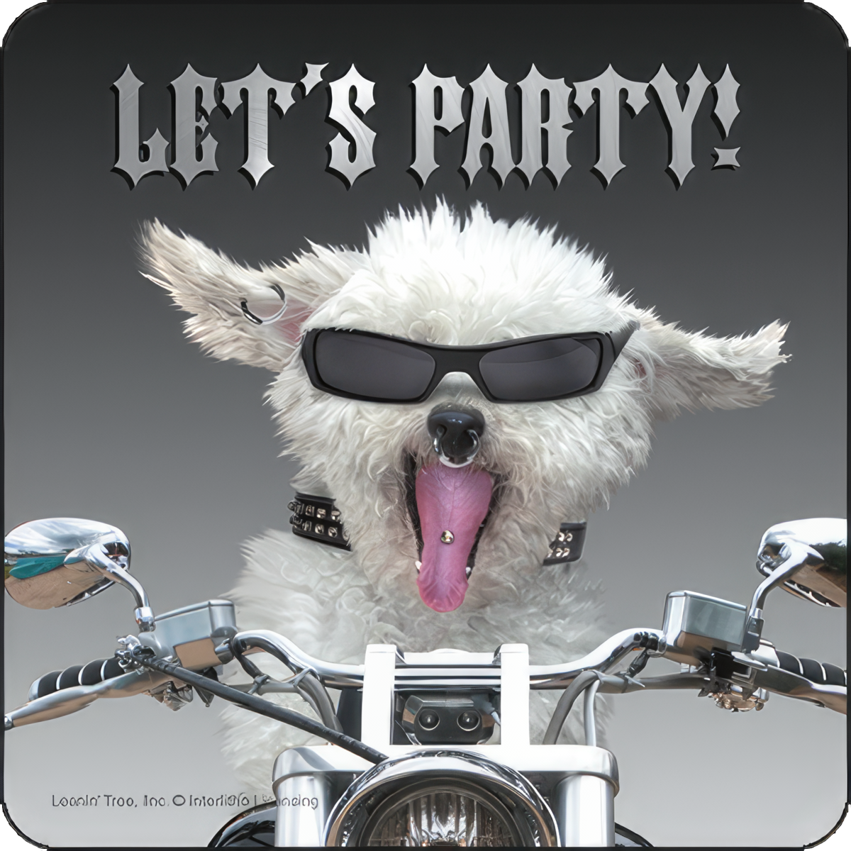 a dog with sunglasses and tongue sticking out rides a motorcycle