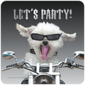 Funny biker dog coaster featuring a white fluffy dog wearing sunglasses, studded collar, ear/nose/tongue piercings, sticking its tongue out, riding a motorcycle, with 'LET'S PARTY!' text above. Perfect novelty drinkware and gift for friends.