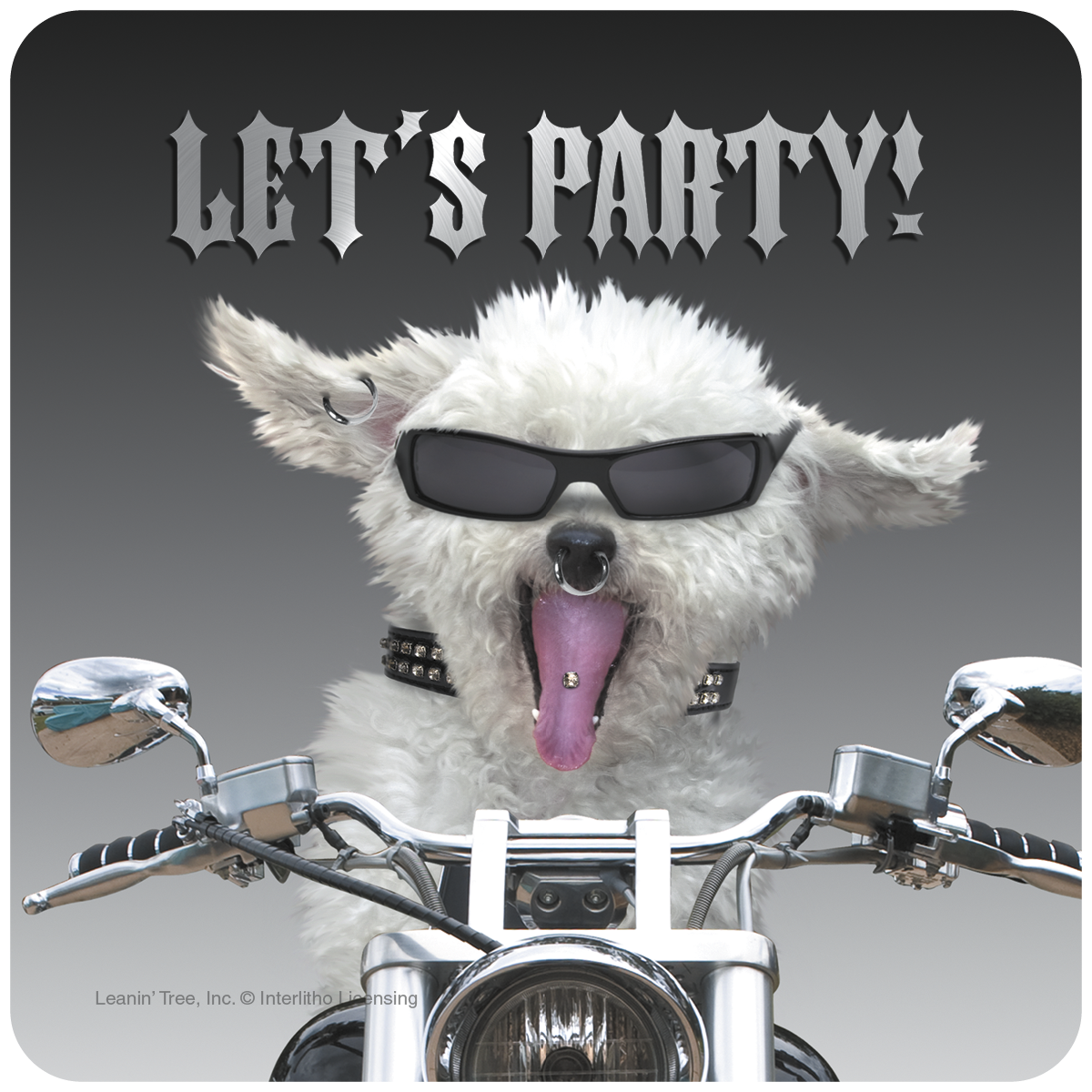 Funny biker dog coaster featuring a white fluffy dog wearing sunglasses, studded collar, ear/nose/tongue piercings, sticking its tongue out, riding a motorcycle, with 'LET'S PARTY!' text above. Perfect novelty drinkware and gift for friends.