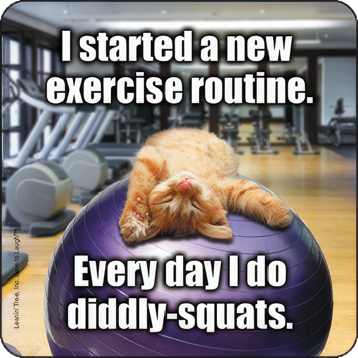 New Exercise Routine