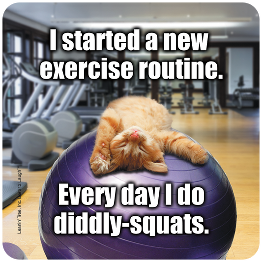 New Exercise Routine