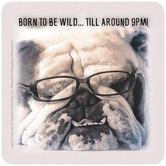 Born to Be Wild... Till Around 9pm!