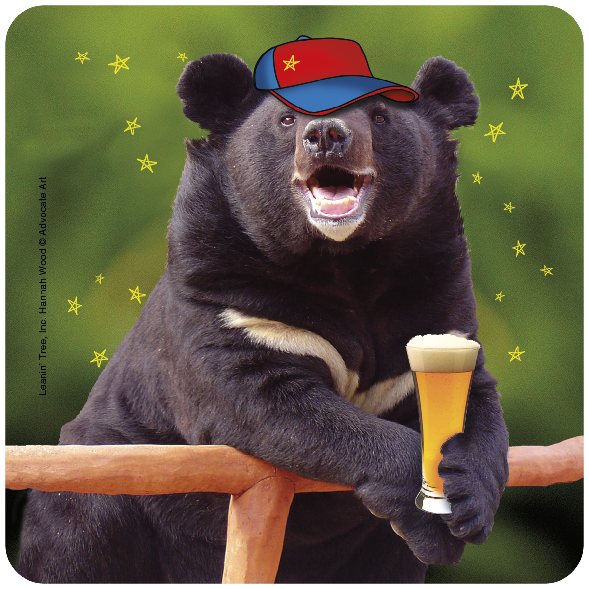 Humorous black bear wearing a red and blue baseball cap, smiling widely while holding a frothy glass of beer, leaning on a wooden rail with yellow stars against a vibrant green background. A funny drink coaster featuring a bear enjoying a brew.