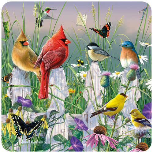 Vibrant nature scene coaster featuring colorful birds like red cardinals, bluebirds, chickadees, goldfinches, and a hummingbird perched on a white picket fence amidst wildflowers, butterflies, and lush greenery in a sunny garden setting. Ideal for home decor and bird lovers.