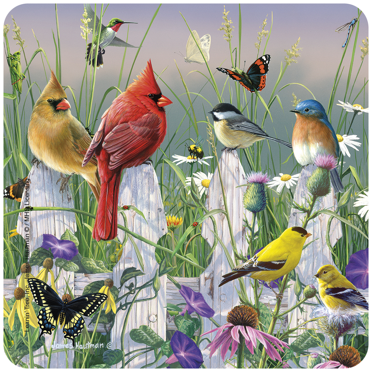 Nature-themed coaster depicting a vibrant garden scene with a red cardinal, female cardinal, chickadee, bluebird, two goldfinches, and a hummingbird perched on a white picket fence, surrounded by colorful wildflowers, grasses, and butterflies.