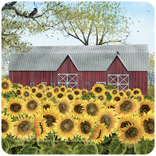 Sunflowers on the Farm