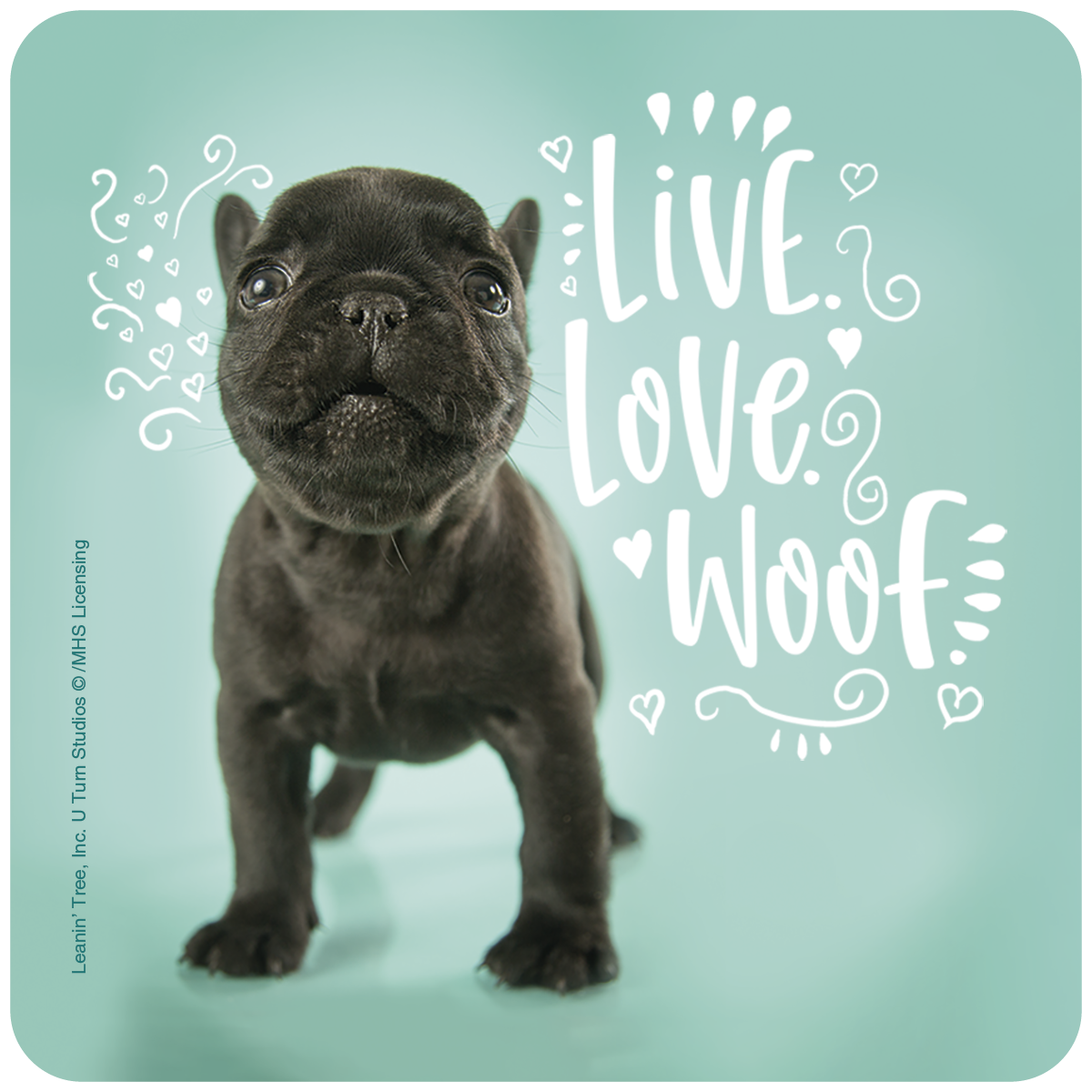 Cute black French Bulldog puppy coaster with 'Live Love Woof' text, ideal for dog lovers and home decor.