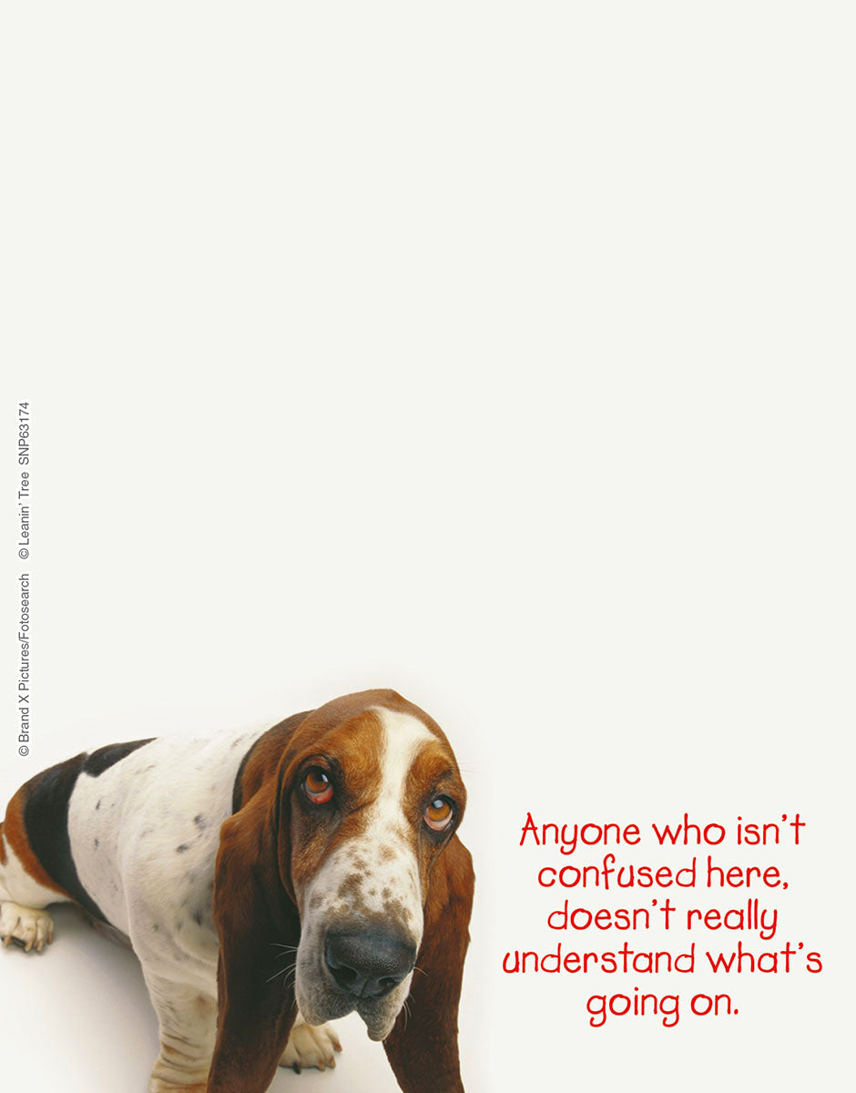 Anyone Who Isn't Confused Bassett Hound Note Pad