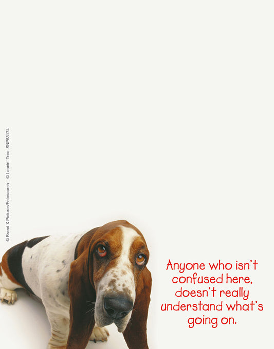 Anyone Who Isn't Confused Bassett Hound Note Pad