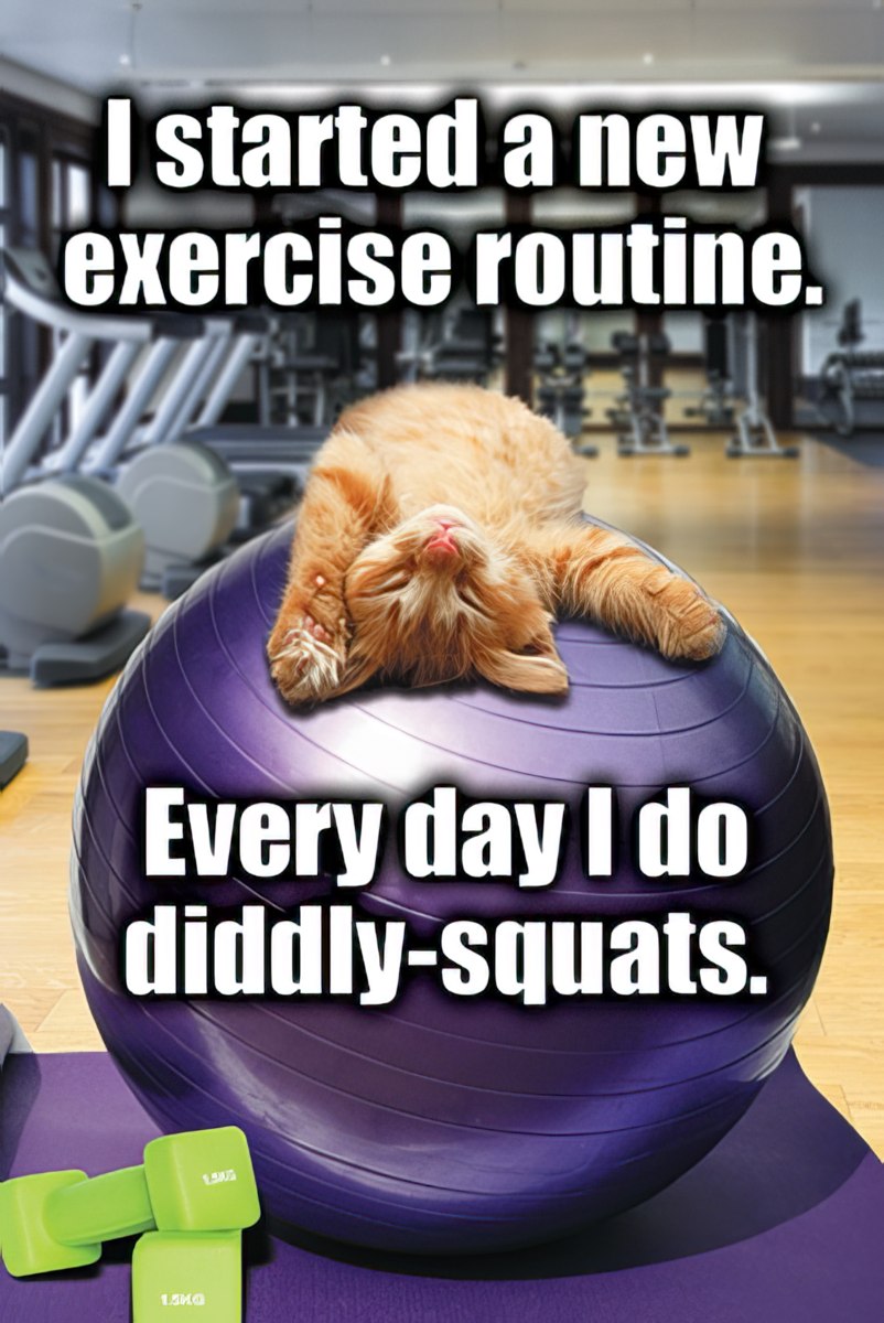 Every day I do diddly-squats.