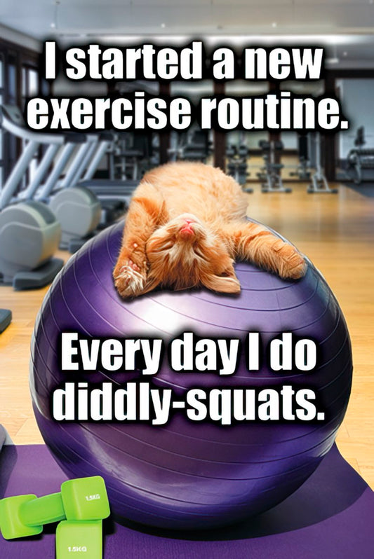 Funny ginger cat relaxing on a purple exercise ball in a gym with text 'I started a new exercise routine. Every day I do diddly-squats.'