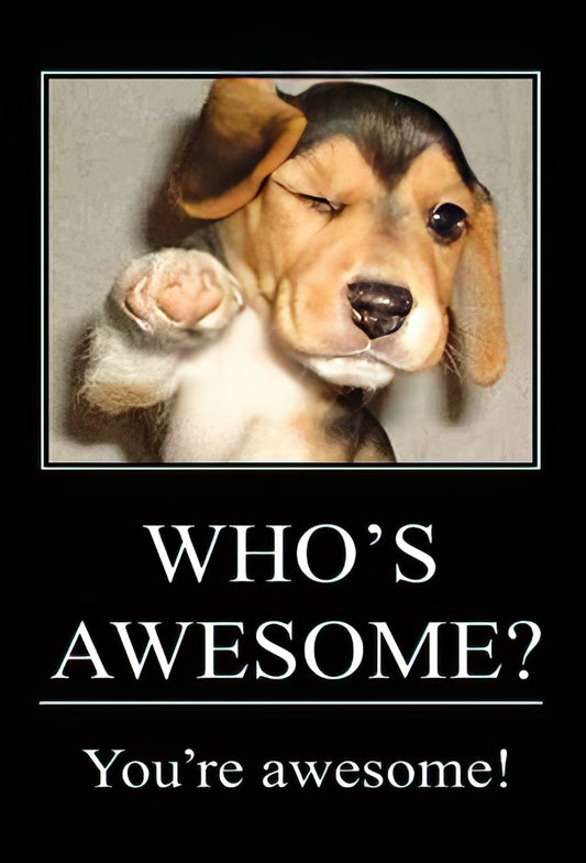 WHO'S AWESOME? You're awesome!