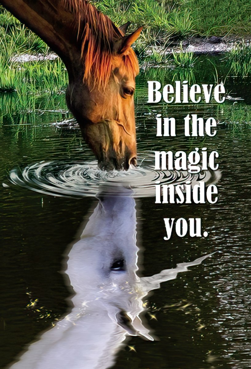 Believe in the magic inside you.