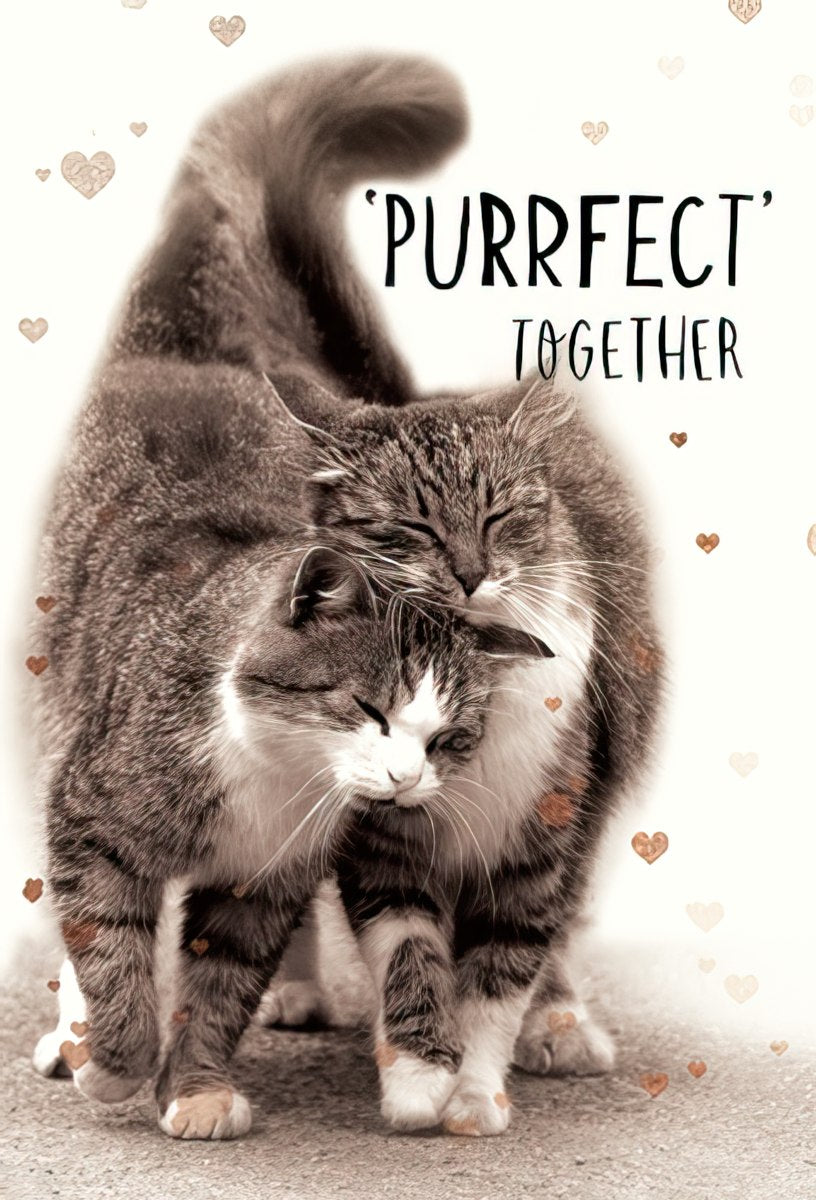 PURRFECT' TOGETHER
