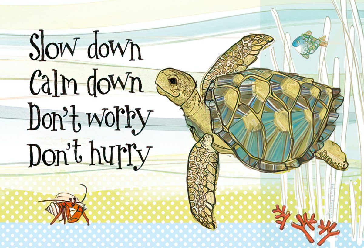 Vibrant magnet featuring a sea turtle, hermit crab, and fish with the calming phrase: 'Slow down Calm down Don't worry Don't hurry.'