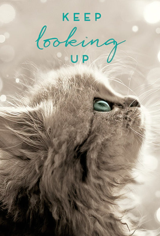 Close-up of a fluffy cat with teal green eyes looking upwards, with the inspirational text "KEEP looking UP" in blue.